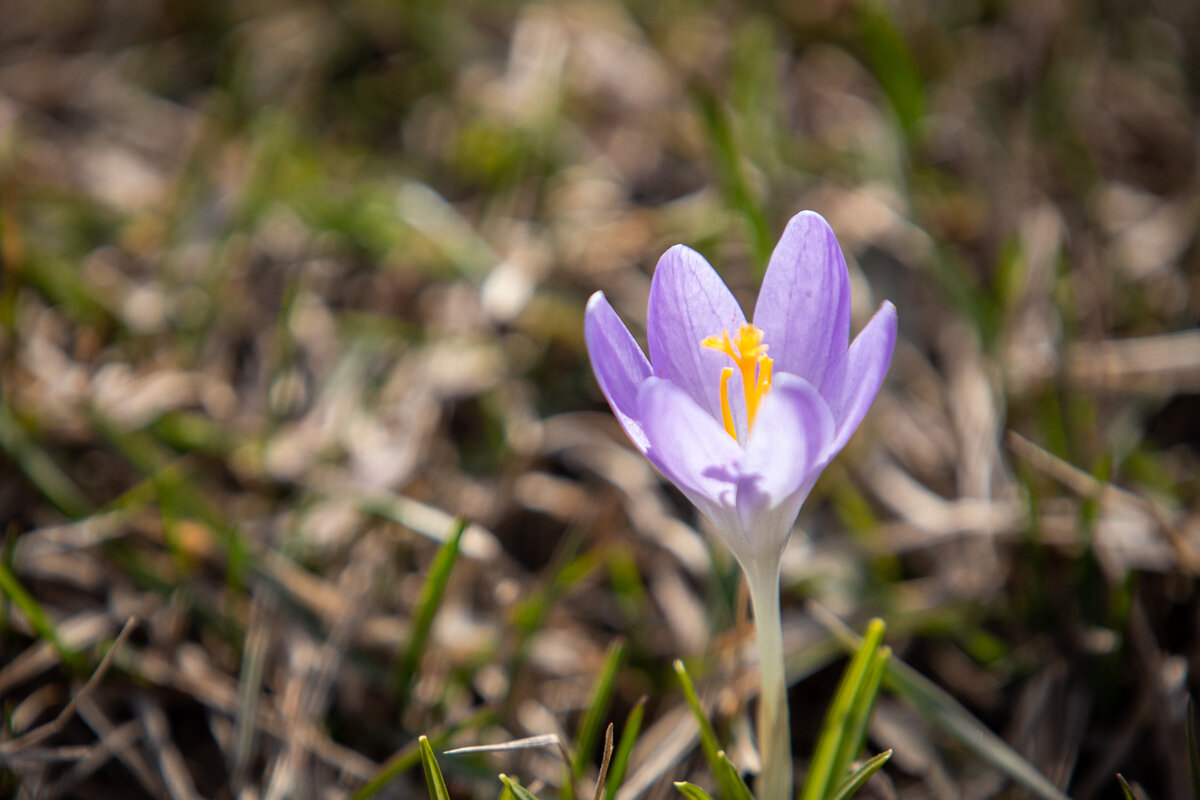 Фото: Тульская служба новостей