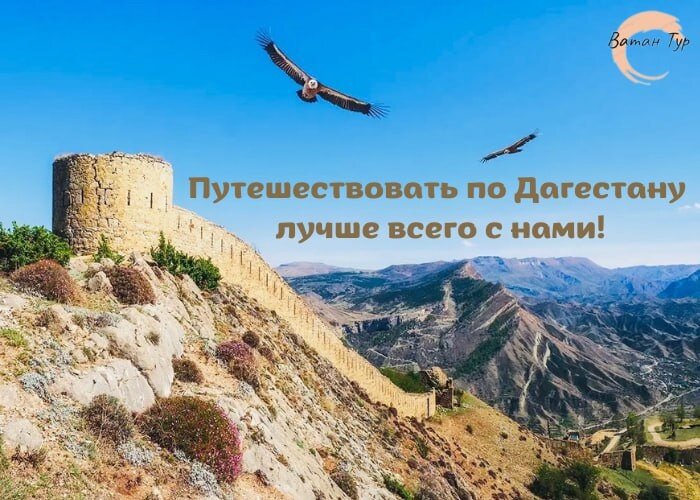 Больше потрясающих фото и видео в Telegram https://t.me/tyrgid_dagestan