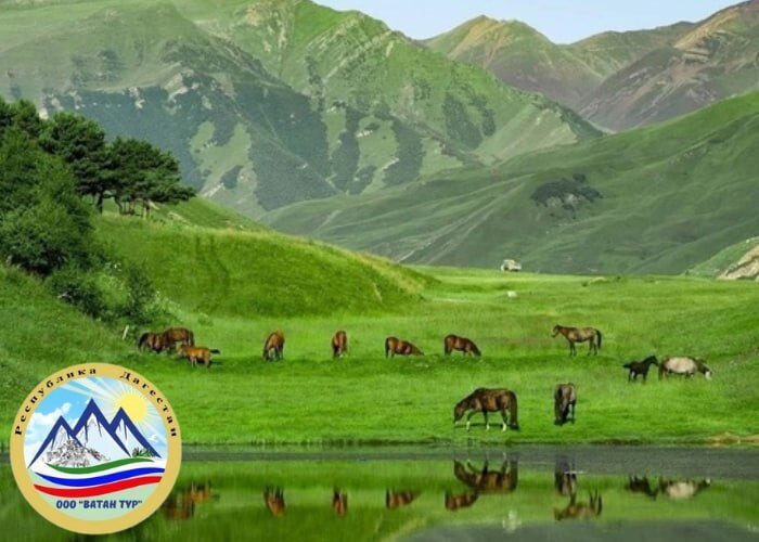 Больше потрясающих фото и видео в Telegram https://t.me/tyrgid_dagestan