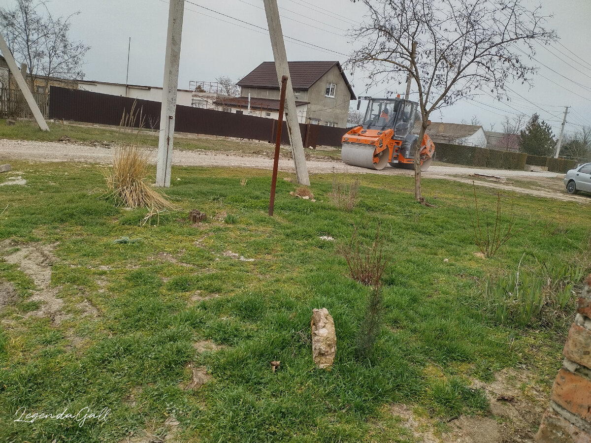 Я как папарацци, из-за забора тайком снимок сделала ))