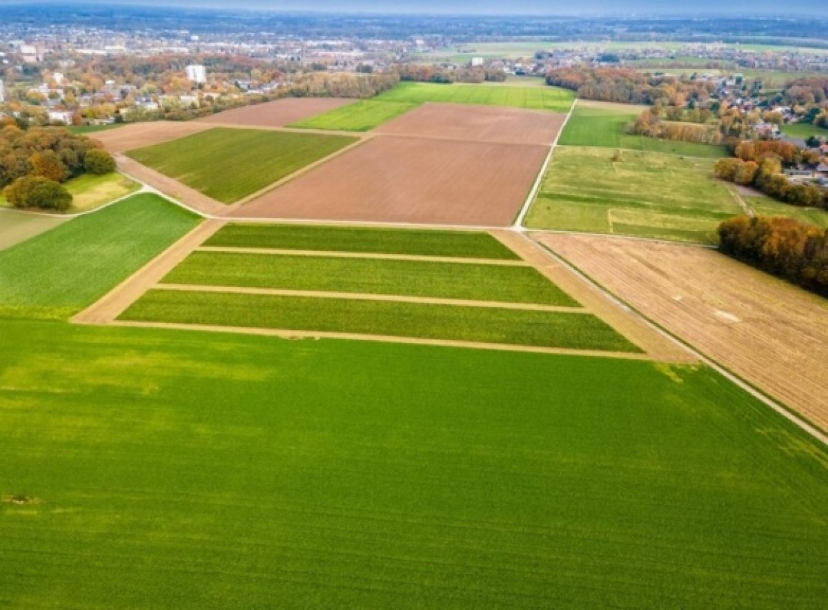    Фото для иллюстрации.