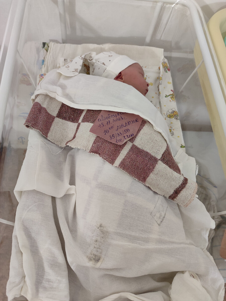 Степан родился