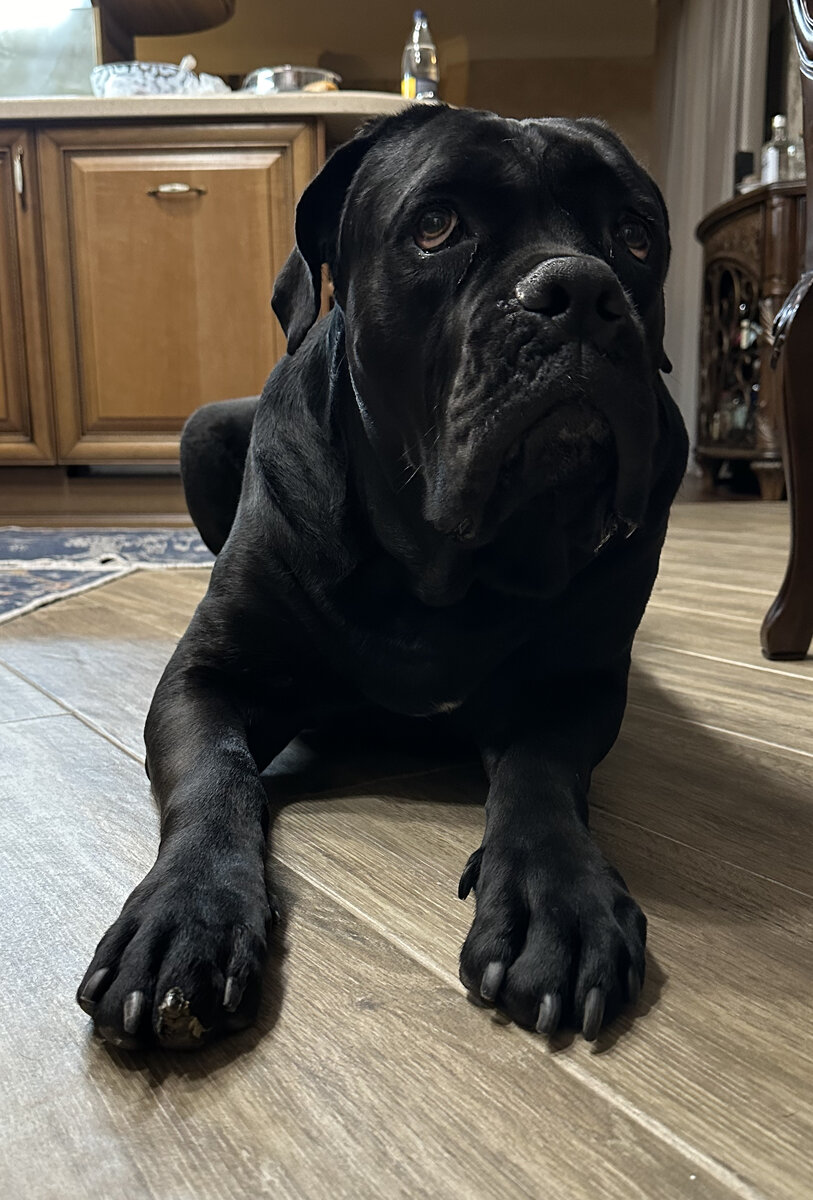 Нора Антоновна. Фото автора