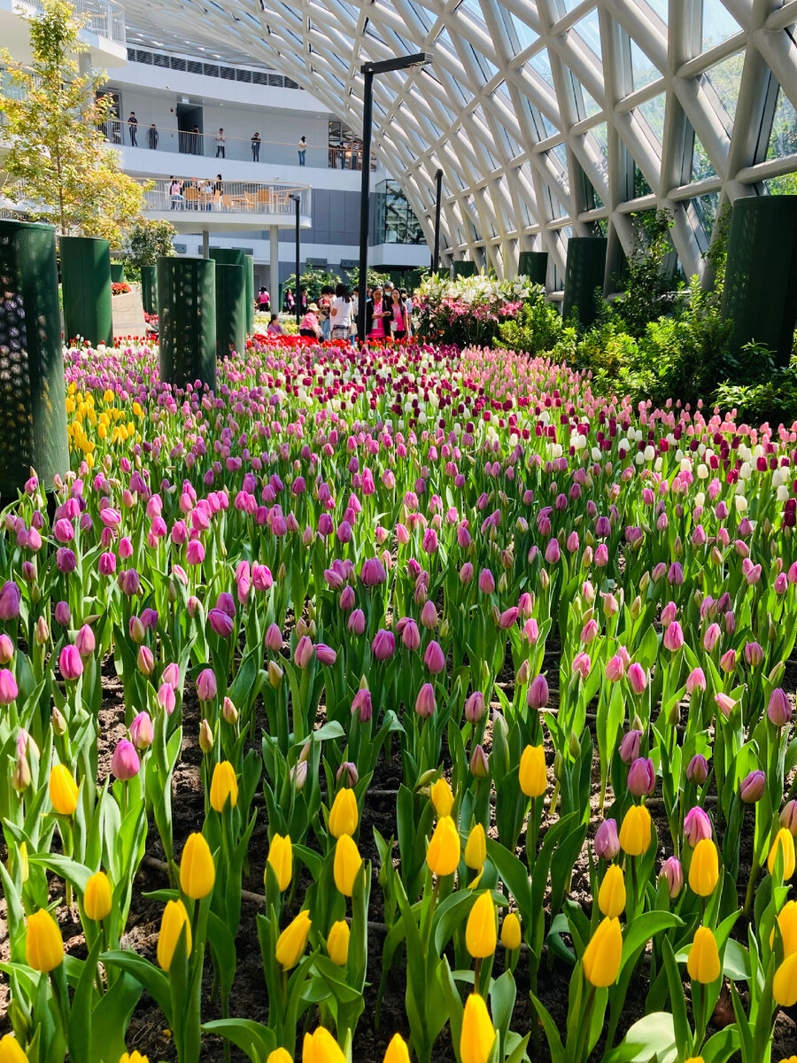 Flora exhibition hall
