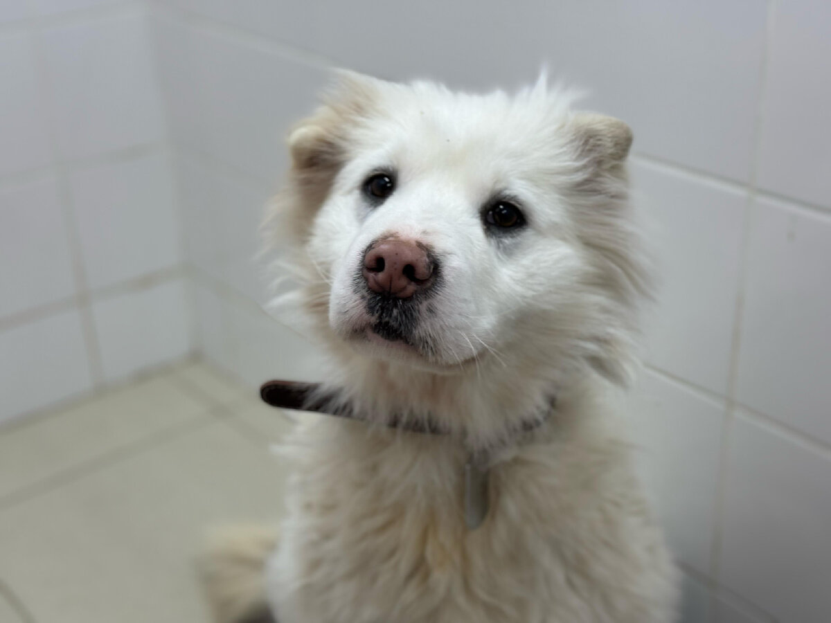 Яся в клинике 