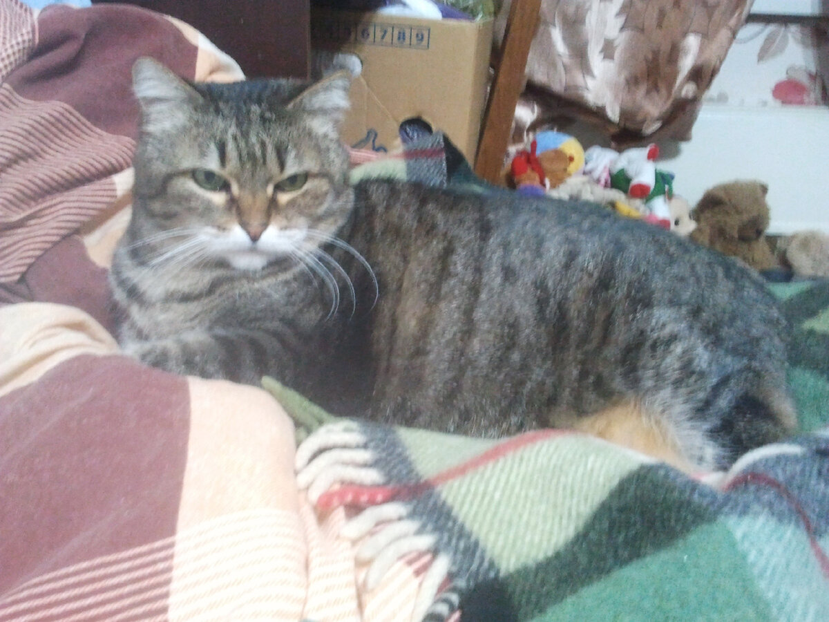 Фото автора