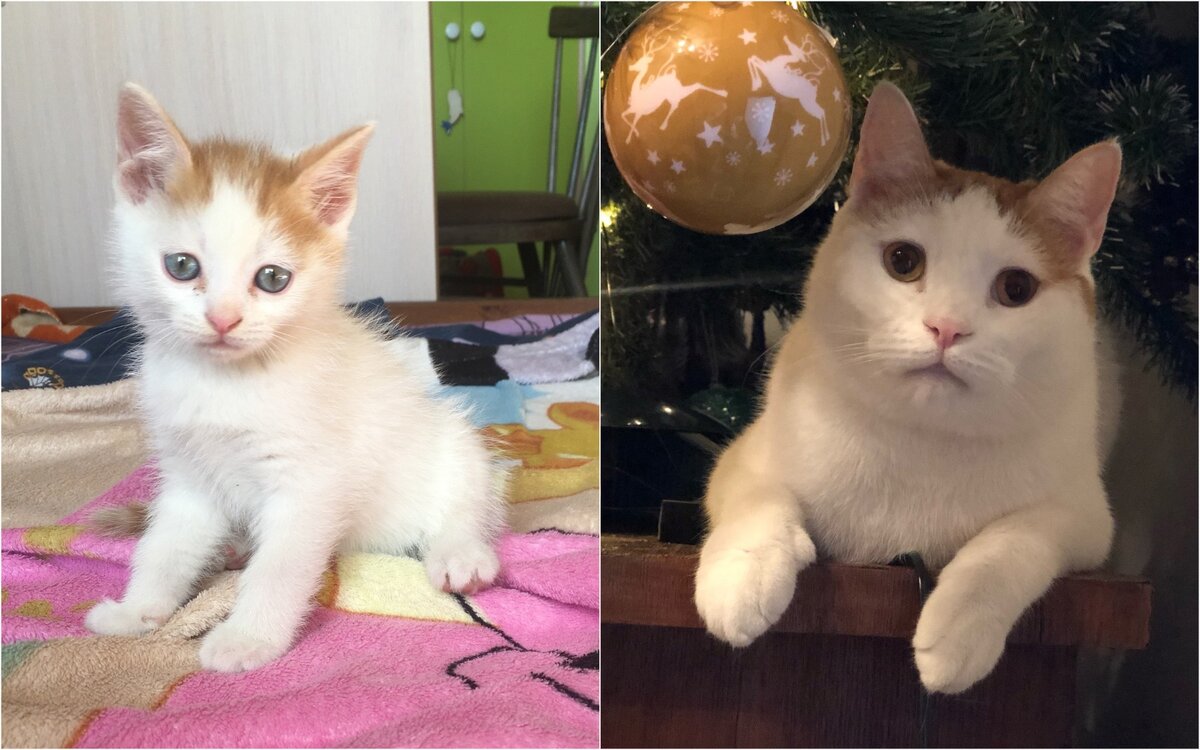 Мои любимые "до и после".