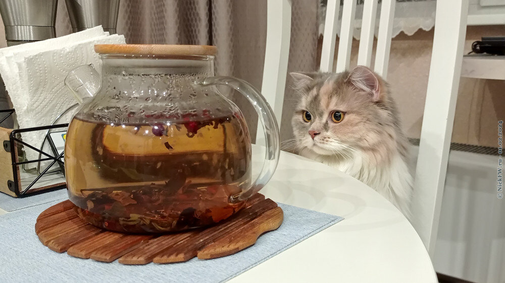 2. Пусильва и чай... © NickFW.ru — 01.02.2024г.