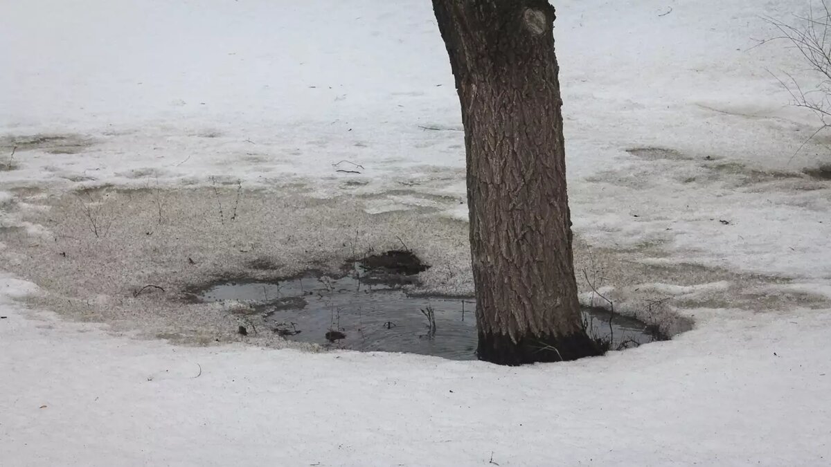     Жители деревни Новая Суровка Уфимского района заметили, что их озеро засыпают песком. Раньше к водоему прилетали лебеди. Об этом пишет портал «ЮТВ».