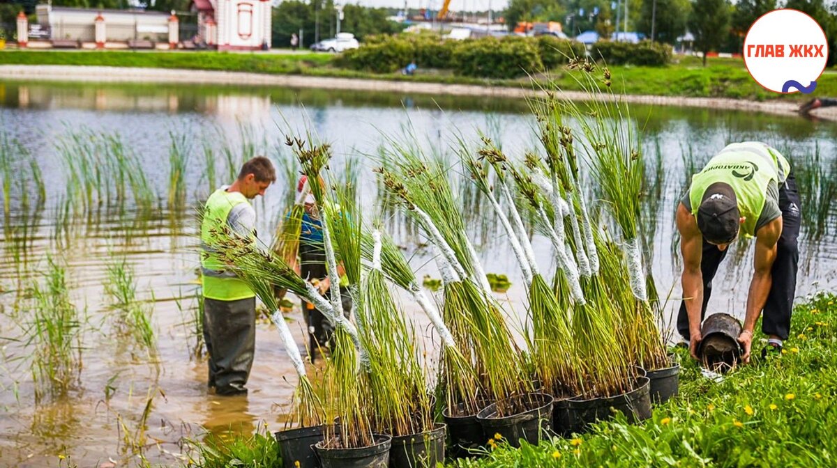 В Москве реконструируют 21 водоём 
