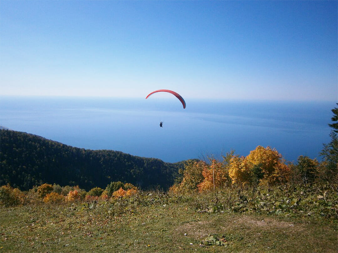 Те самые парапланы