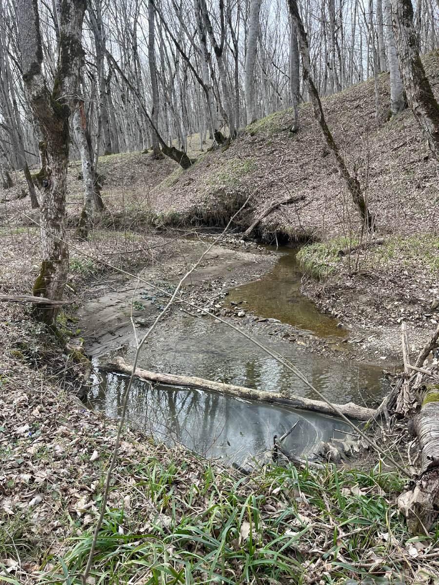 Так хорошо, водичка журчит. Такое умиротворение