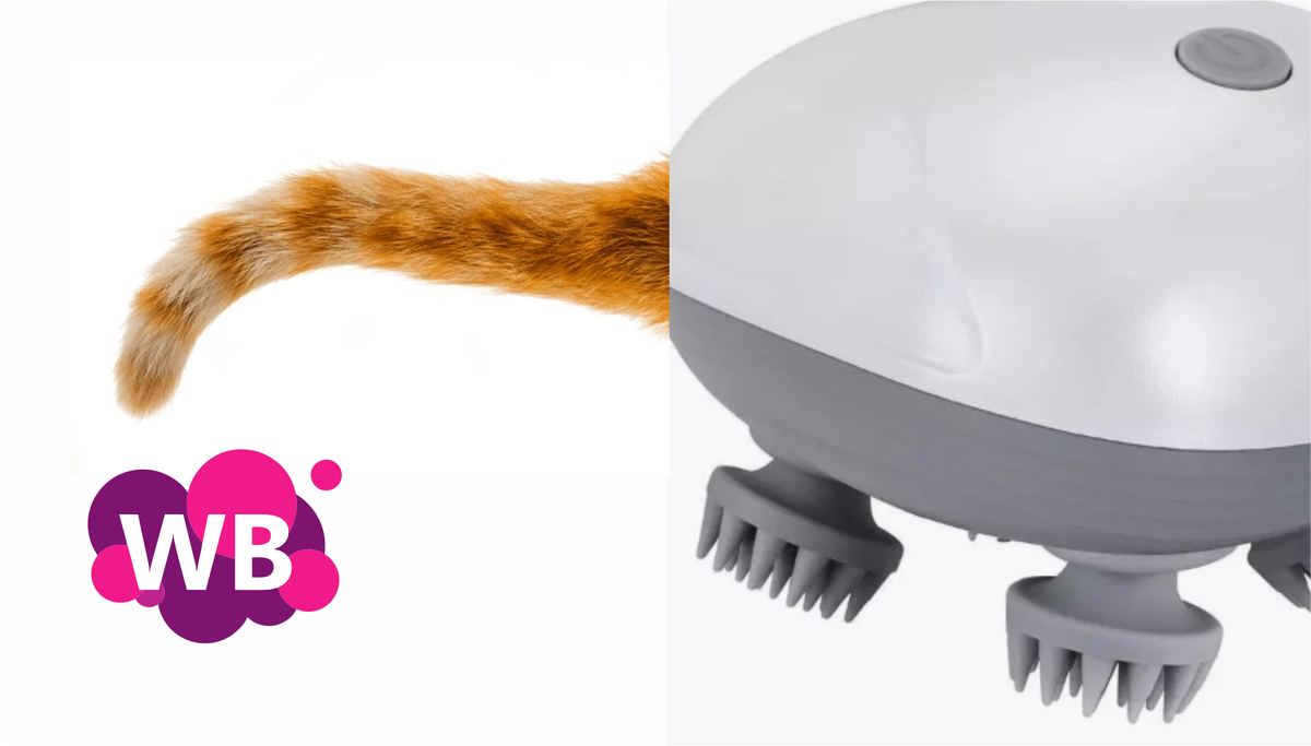 Обалдеть и это есть - Чумовых 9 товаров Wildberries для питомцев