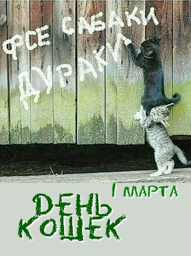 С праздником. друзья! 