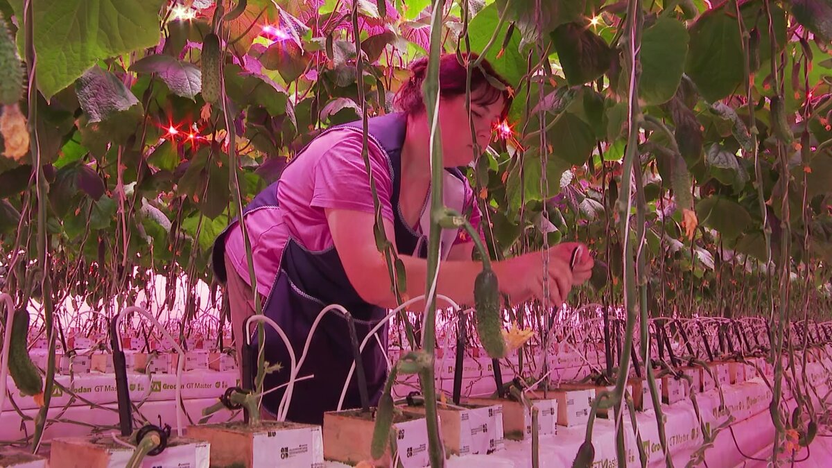    Запад для нас не авторитет