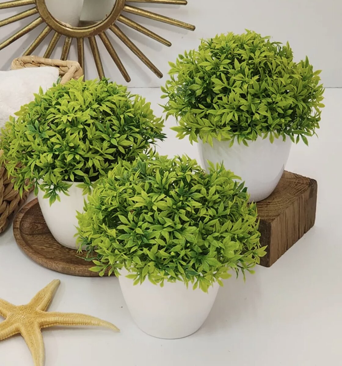 Артикуль:94817798,158311059