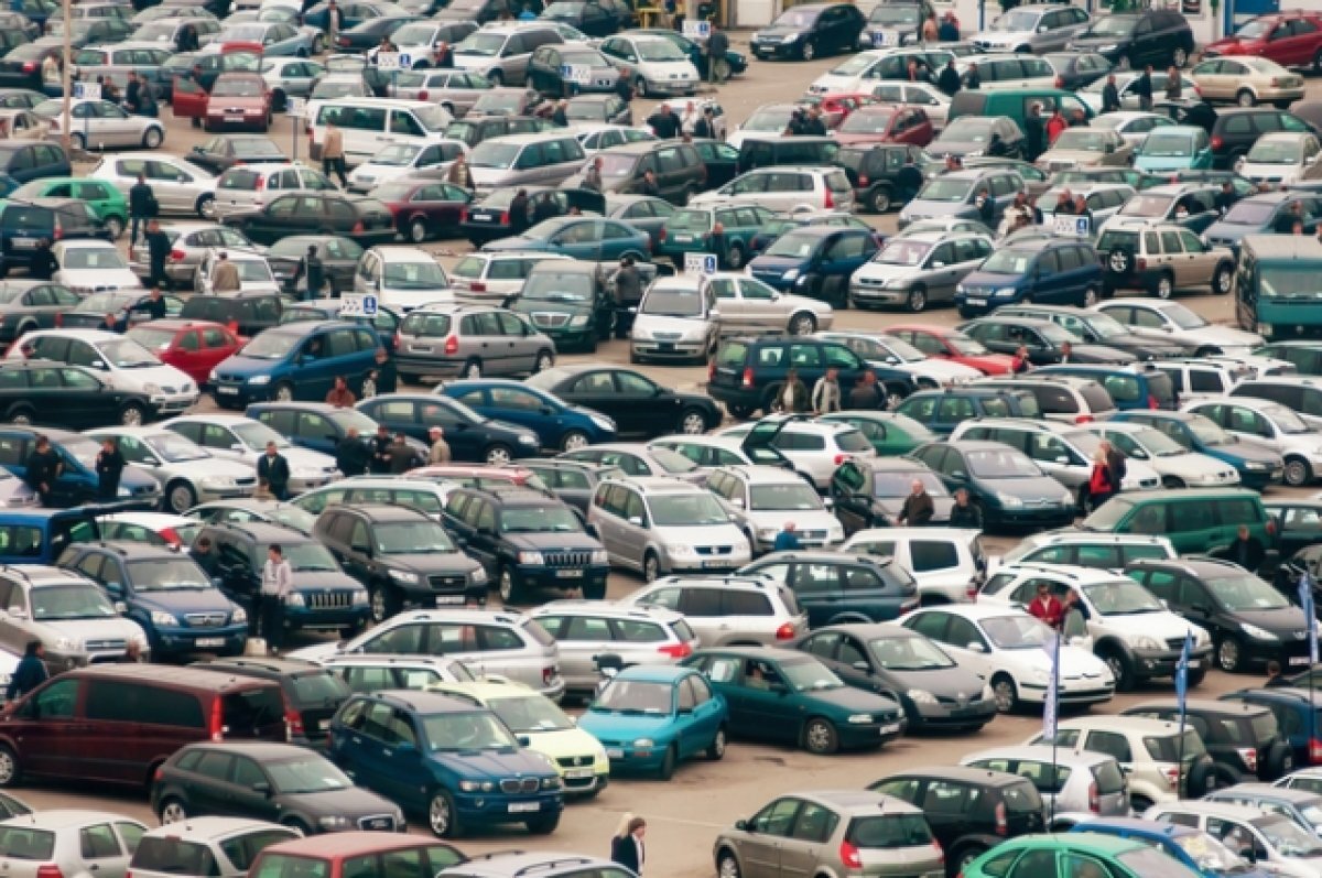    Старые лошадки.