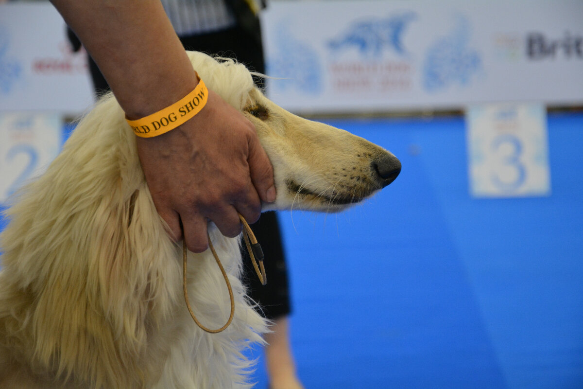 Этот момент случится только через неделю....