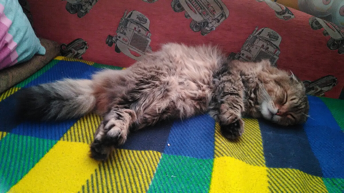 А это, собственно, он и есть, наш грозный Фейкота))