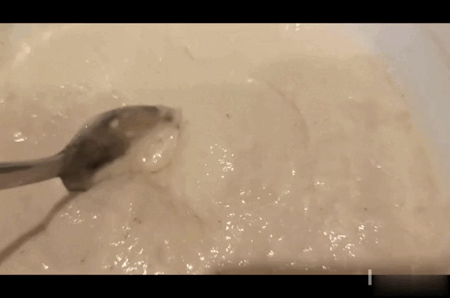 Дзен гифку считает за картинку) 