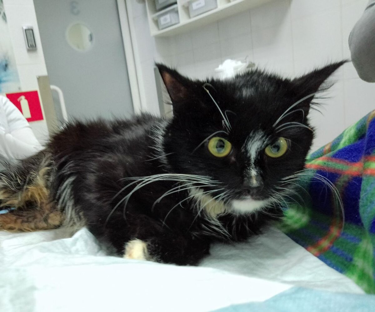 Лучик сегодня в клинике