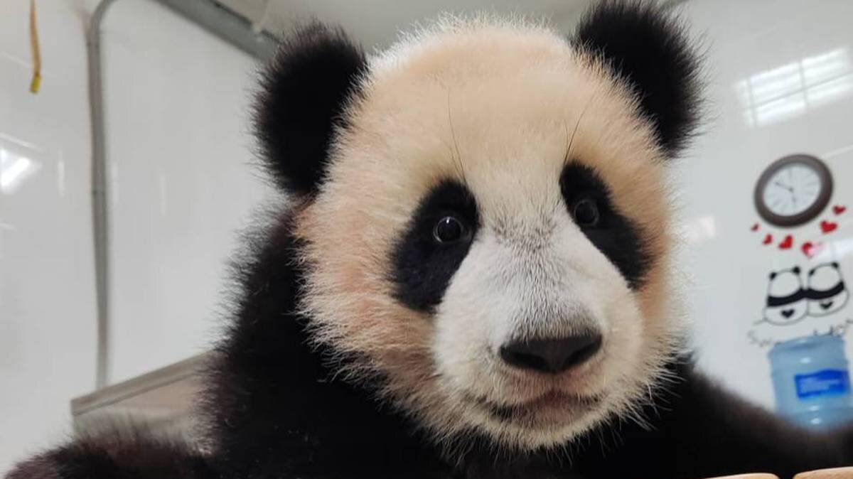    Фото: Telegram / Светлана Акулова