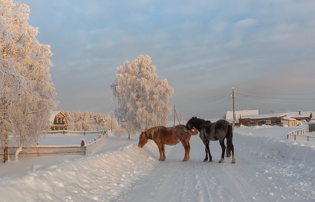 Яндекс.Картинки.