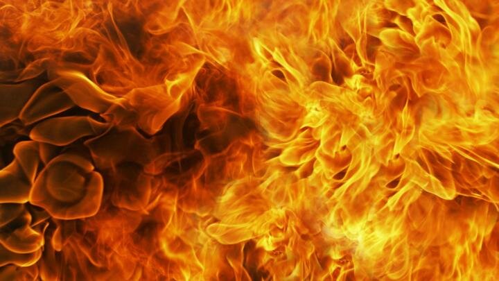 ФОТО: MICHAEL PEUCKERT/GLOBALLOOKPRESS