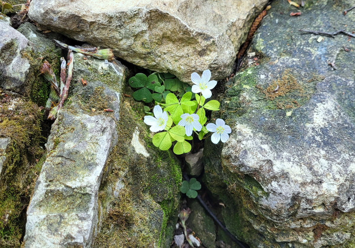 Фото принадлежит автору канала.