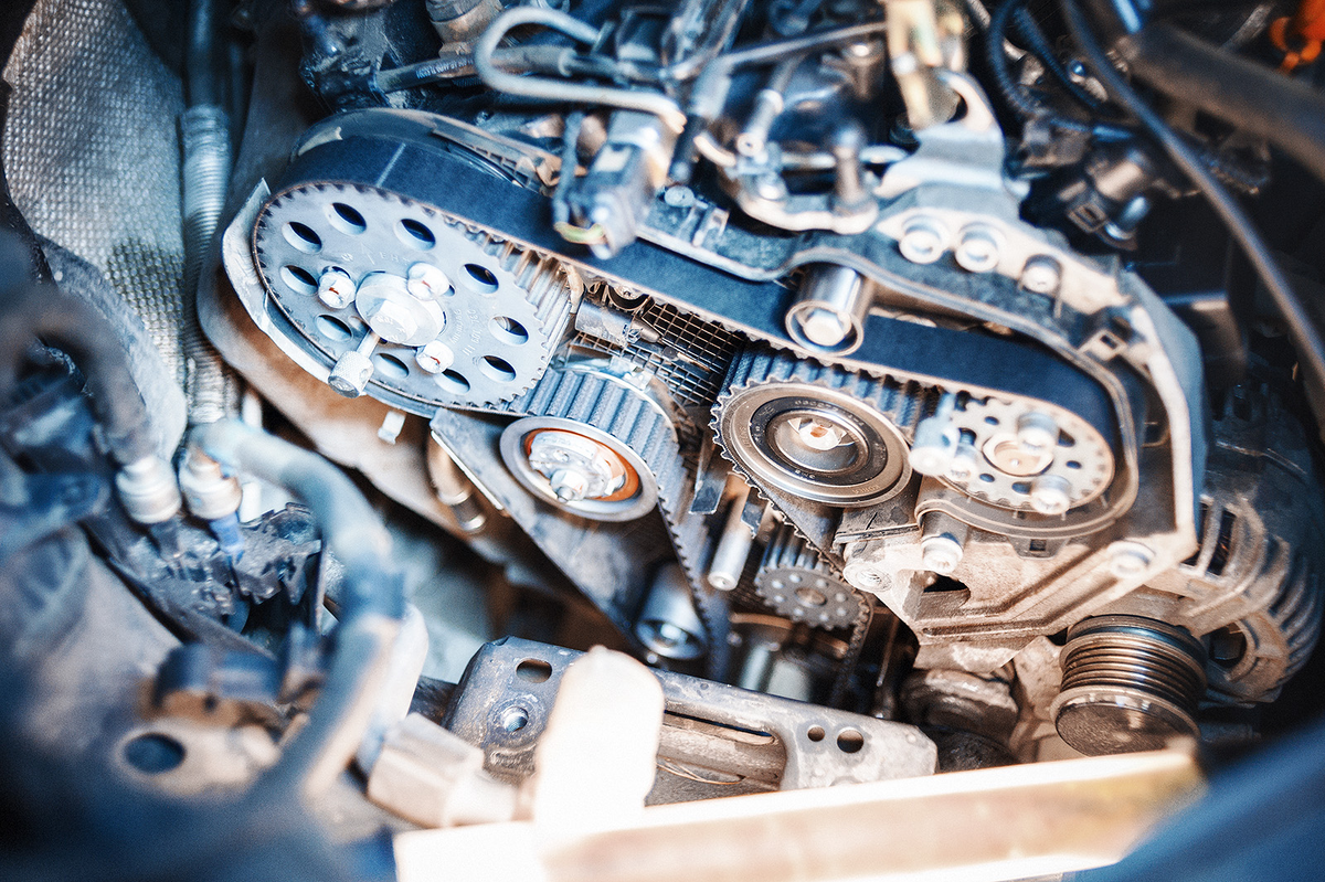 Фото взято из открытого источника яндекс картинки.