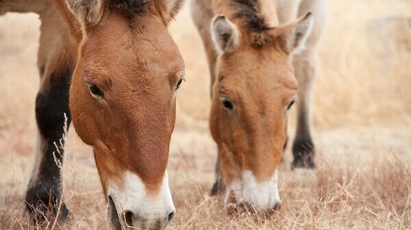    © Минприроды РФ. Наталия Судец