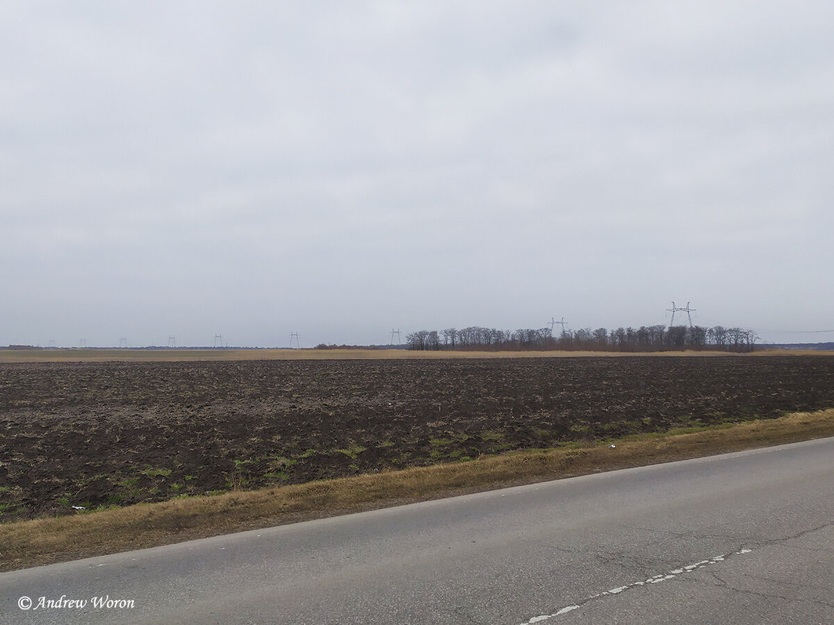 Чуть левее деревьев