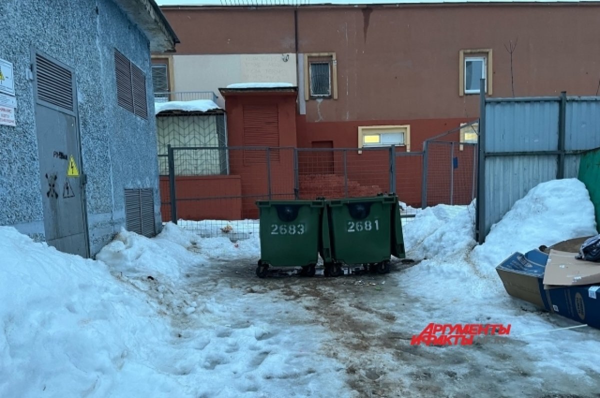 В Твери жители многоквартирного дома на улице Можайского жалуются на крыс |  АиФ–Тверь | Дзен