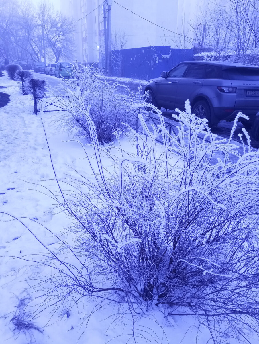 Первый день весны в Саратове, по дороге на работу.