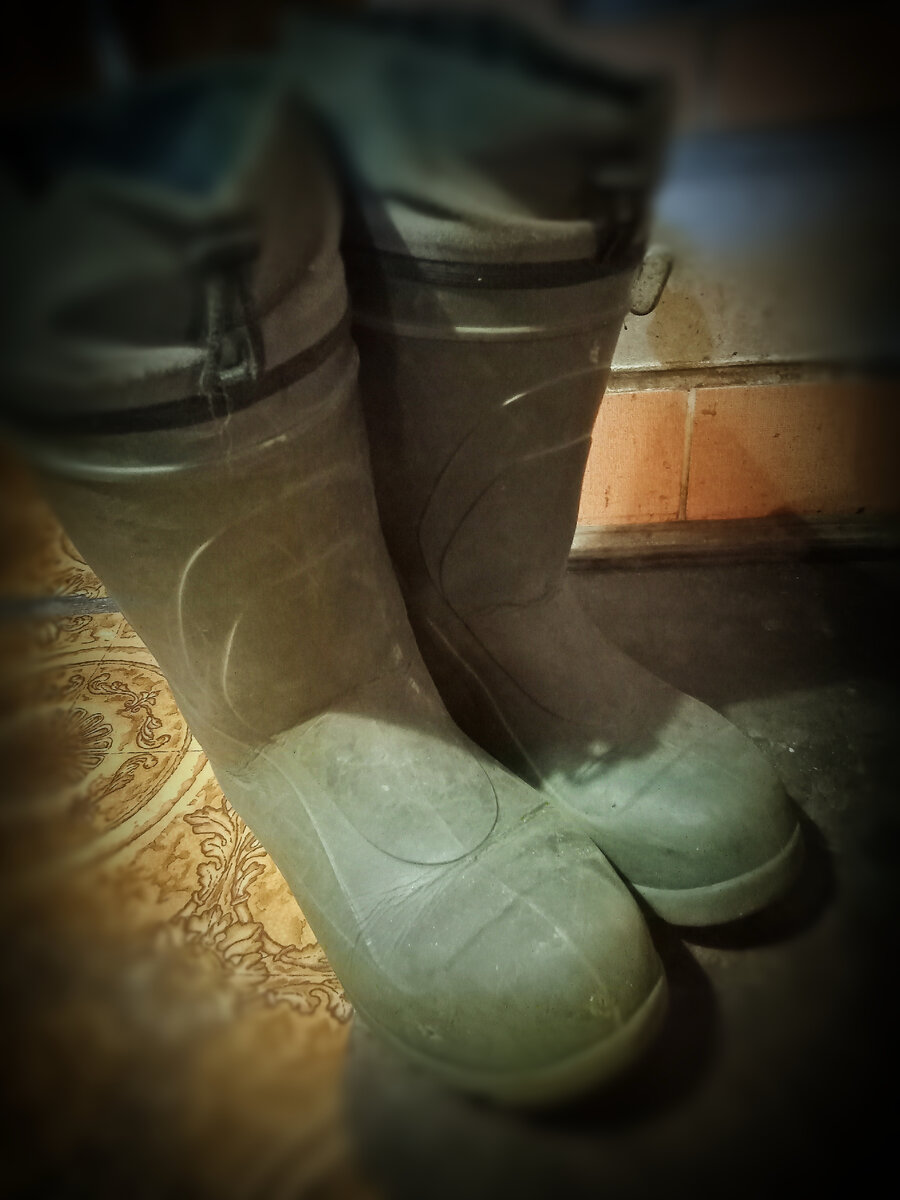 Сапоги. Домашние. Боевые. Вспененные.