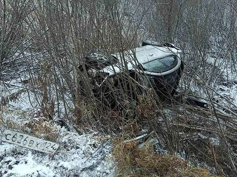считай здесь людям повезло.