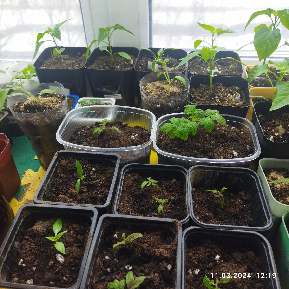 Только что рассадила всех. 