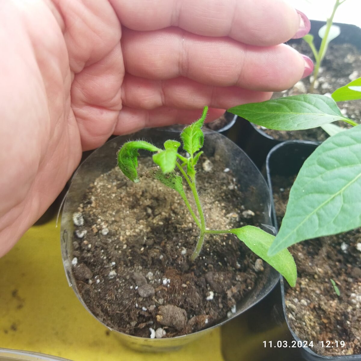 ДО применения. Листайте