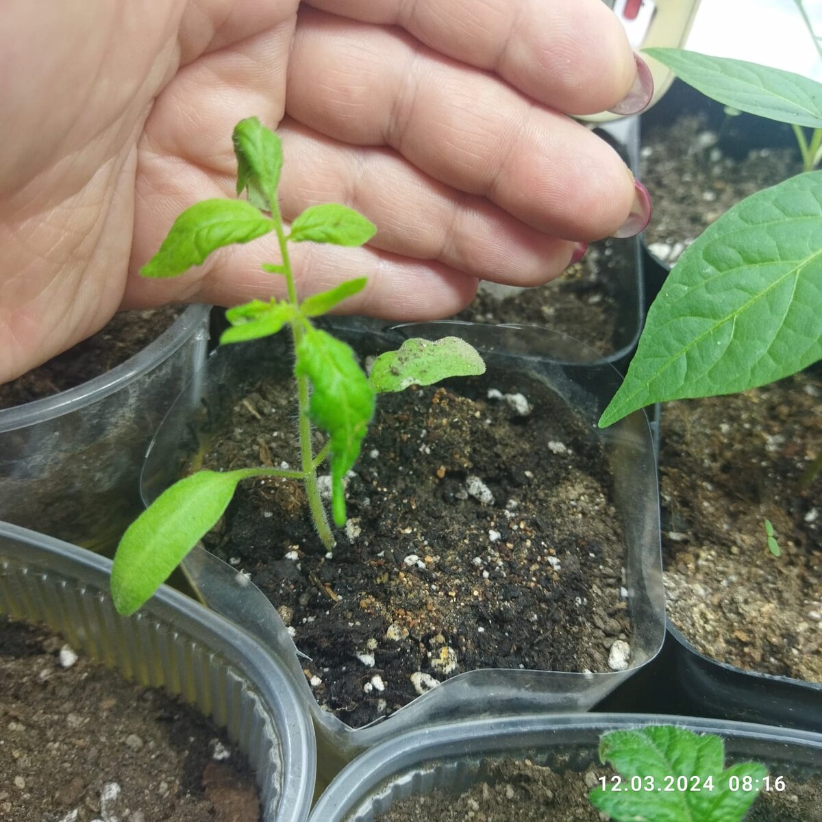 После. Чуть-чуть воспрял