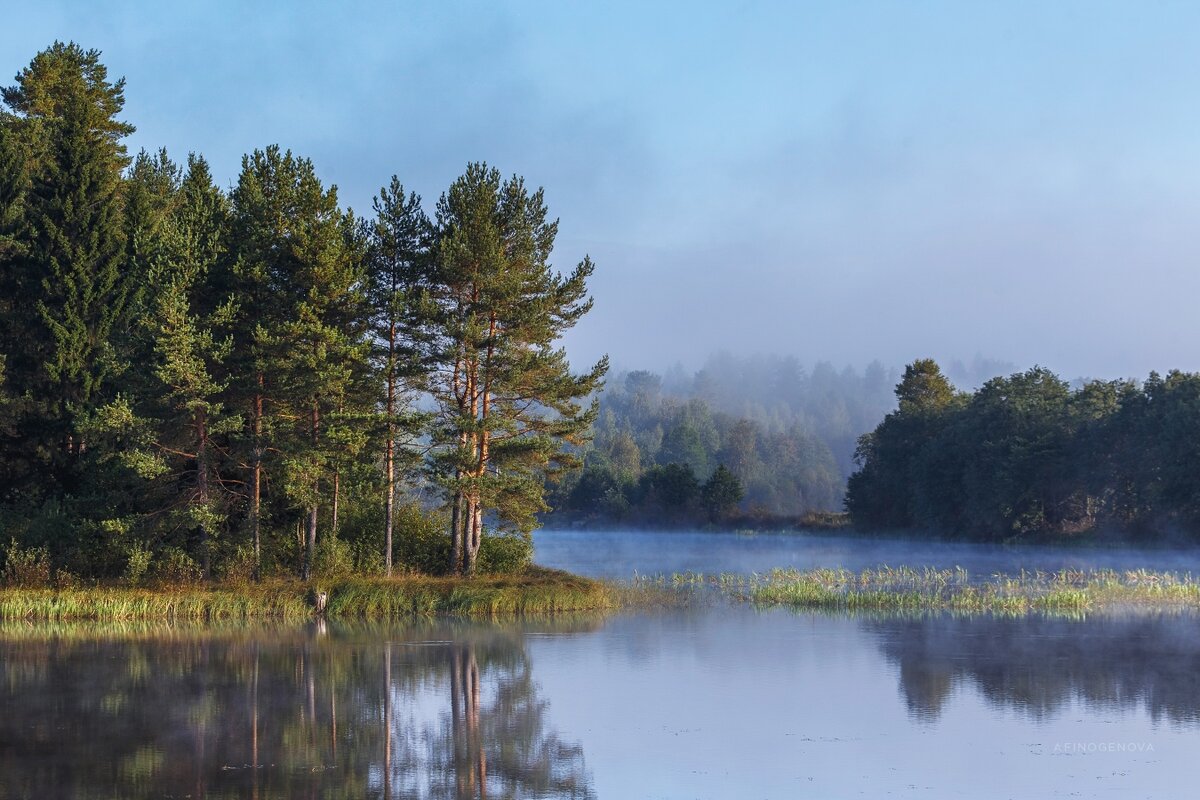 Фото Т.Афиногеновой