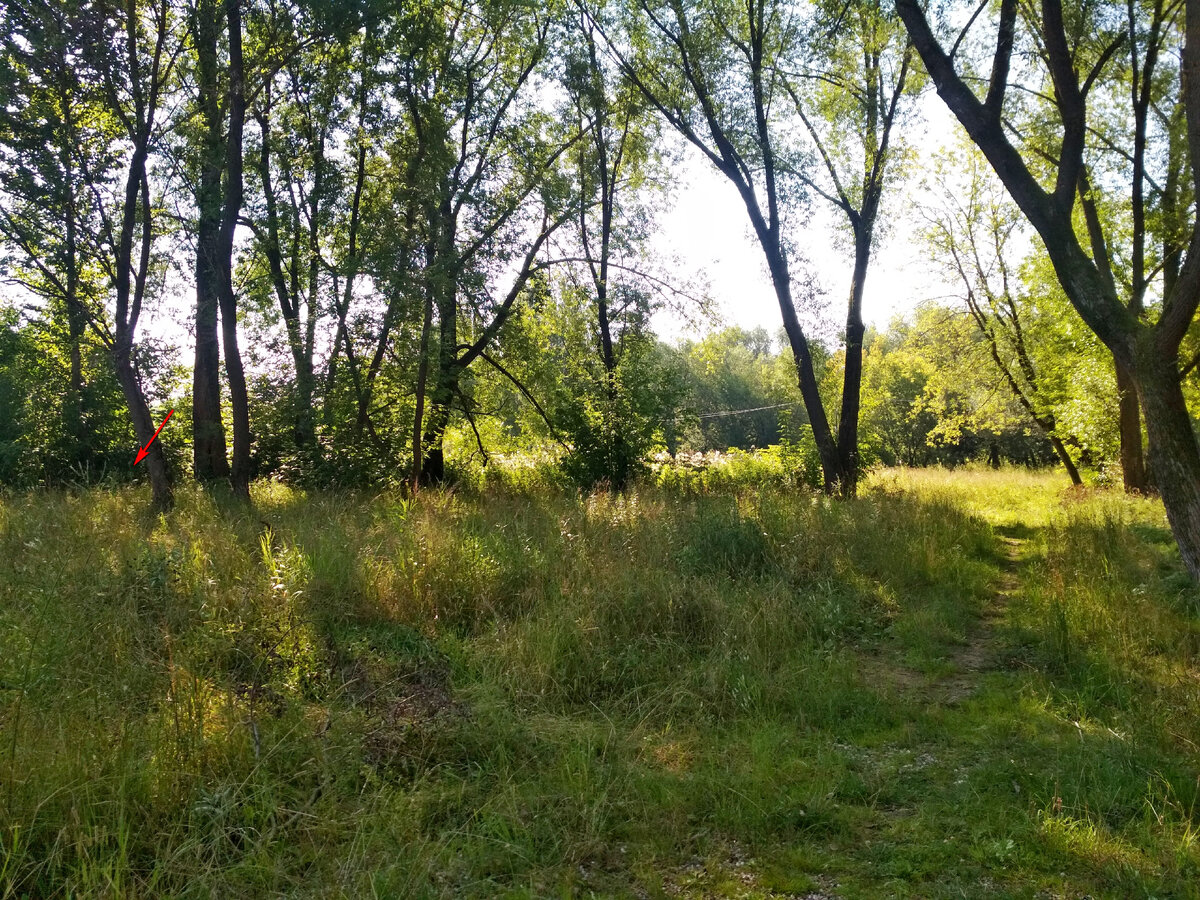 Стрелкой обозначил место ночевки