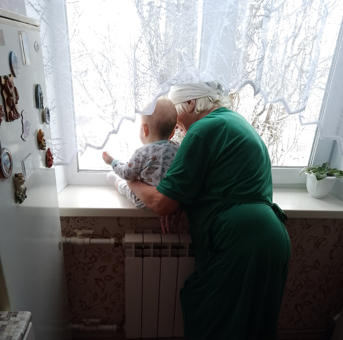 Воркуют голубки ❤