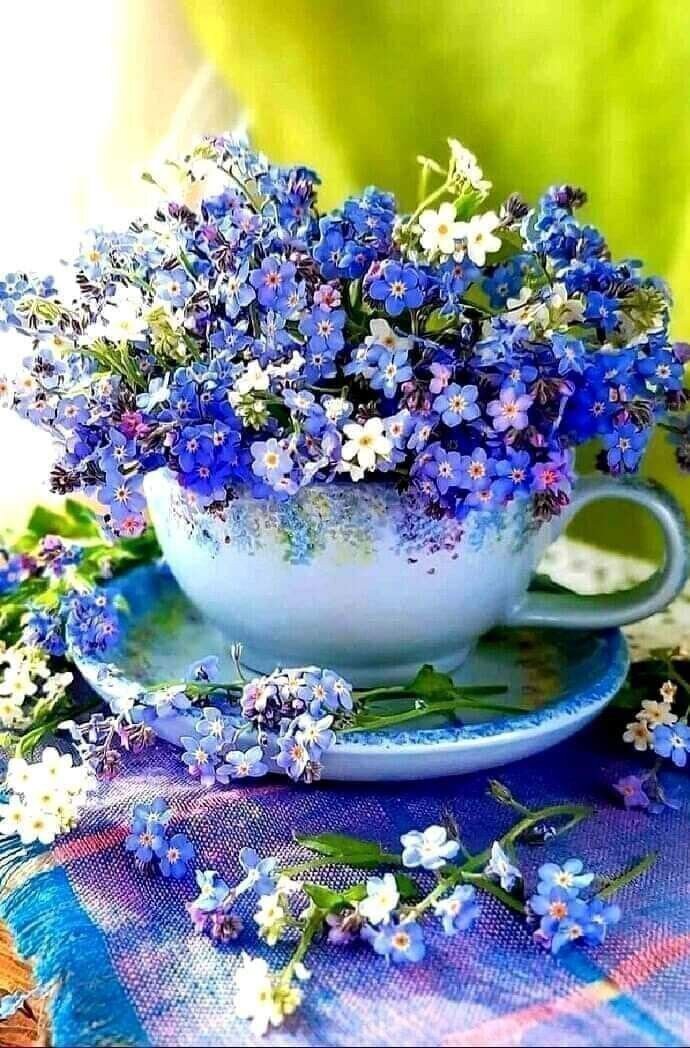 Фото из интернета