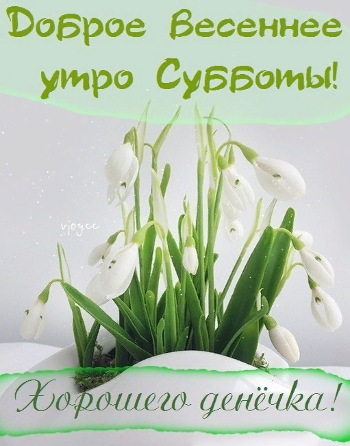 Доброе утро картинки позитивные новые весенние 2024. Утреннее настроение. Утренние цветы. Пожелания с добрым весенним утром. Доброе утро картинки позитивные новые весенние 2024.