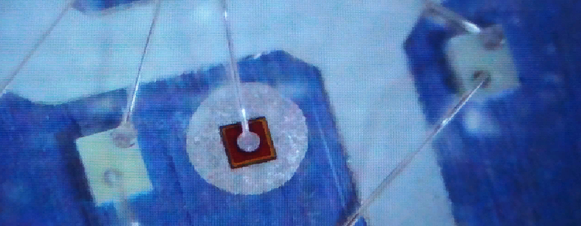 Где тут синий ? а Где зеленый ?