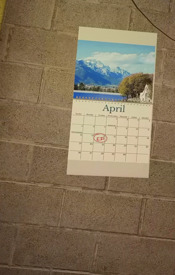 14 апреля (ориентировочно 2015 год); отсылка на разработку Far Cry 5?