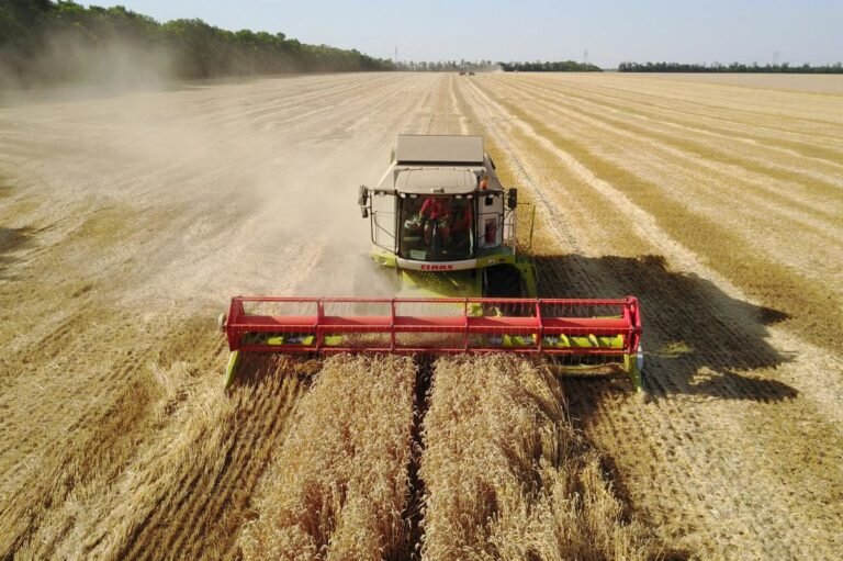    70 лет. Оренбуржье отмечает юбилей начала освоения целины Марина Шарт