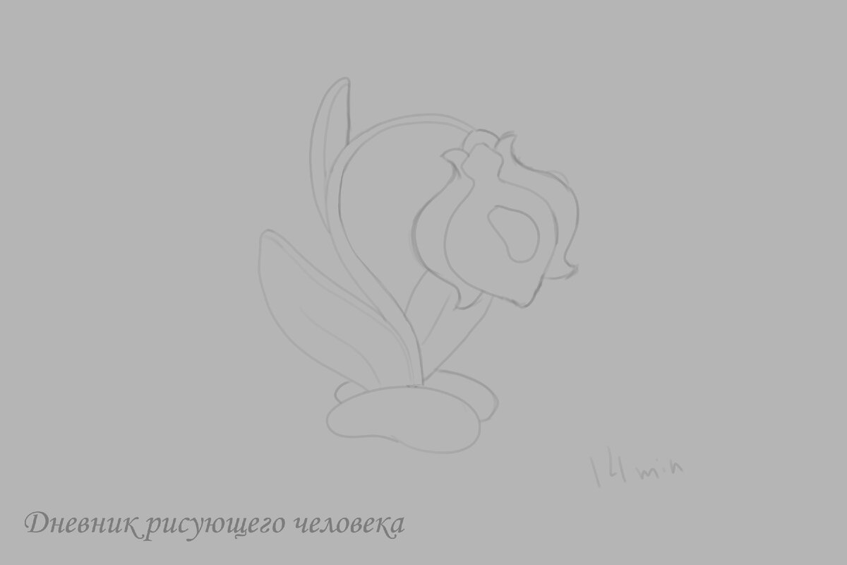 Первый шаг - линейный набросок