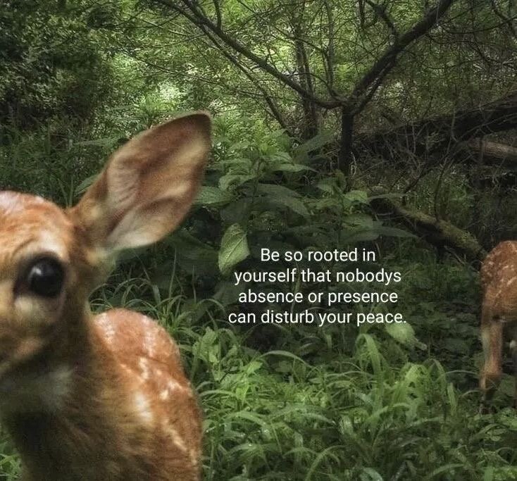 «Будьте настолько уверены в себе, чтобы ничье отсутствие  или присутствие не могло нарушить ваш покой»