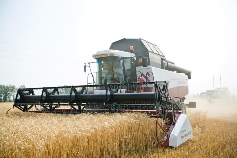    Поднимать целину в Оренбуржье приехали 11,5 тысячи добровольцев Марина Шарт